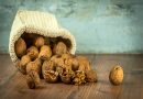 Dlačice s tijela i lica nestaju kao rukom odnešene! Rješenje za dlakavost postoji, a tajna se krije u drevnom ruskom receptu. Dlačice s tijela i lica nestaju kao rukom odnešene! Rješenje za dlakavost postoji, a tajna se krije u drevnom ruskom receptu.