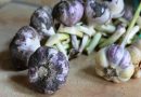 Beli luk ima magiska moć – Beli luk vam moze pomoci protiv magije evo i kako Beli luk ima magiska moć – Beli luk vam moze pomoci protiv magije evo i kako