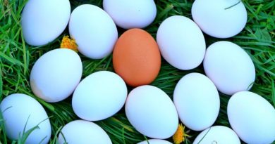Izbeljivanje jaja za Uskrs: Za 15 minuta možete izbeliti jaja uz pomoć sirćeta i vode