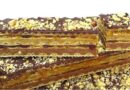 Srpske toblerone – Bajadera u oblandi