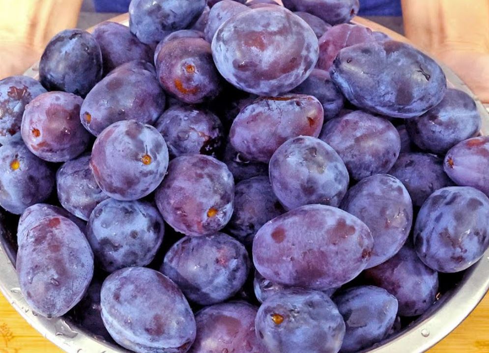 Recept za domaći dzem od šljiva!