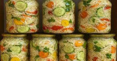 Mešana salata bez konzervansa – prirodno kisela zimnica