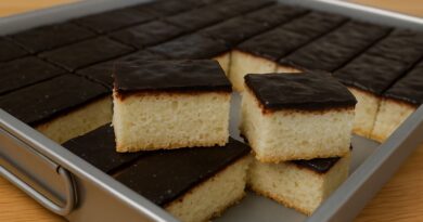 Posna Jafa Torta – Sočan i Čokoladni Desert