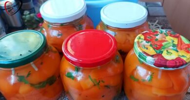 Hrskava paprika za zimnicu – domaći recept iz Bakine kuhinje