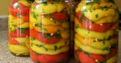 Barena Paprika – Proveren Starinski Recept za Zimnicu