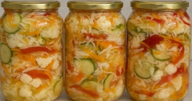 Zimnica u tegli – kupus, paprika, šargarepa i karfiol